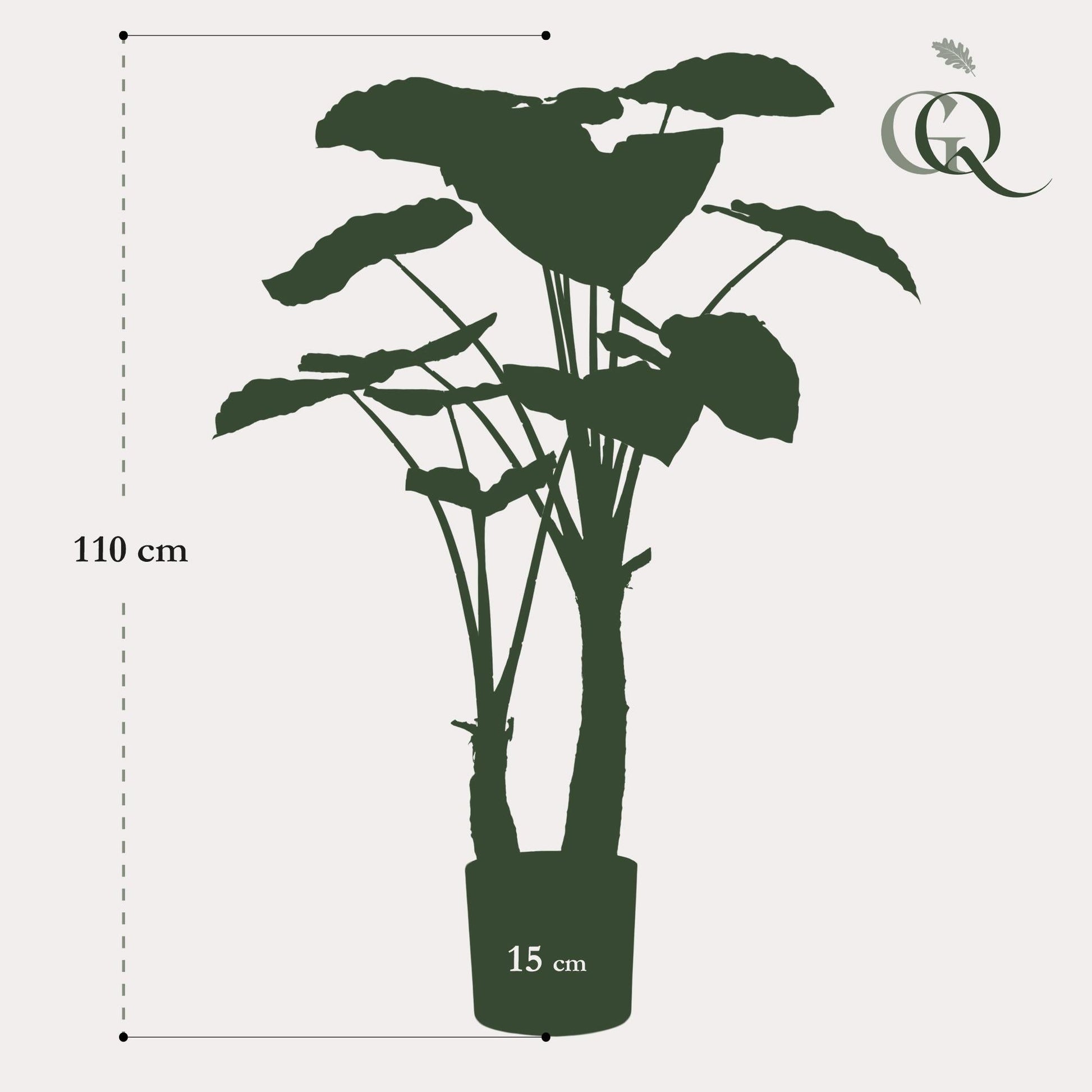 Kunstplant - Alocasia - Olifantsoor - 110 cm - Forestbloom