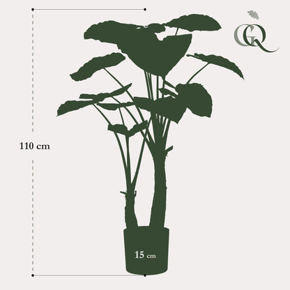 Kunstplant - Alocasia - Olifantsoor - 110 cm - Forestbloom