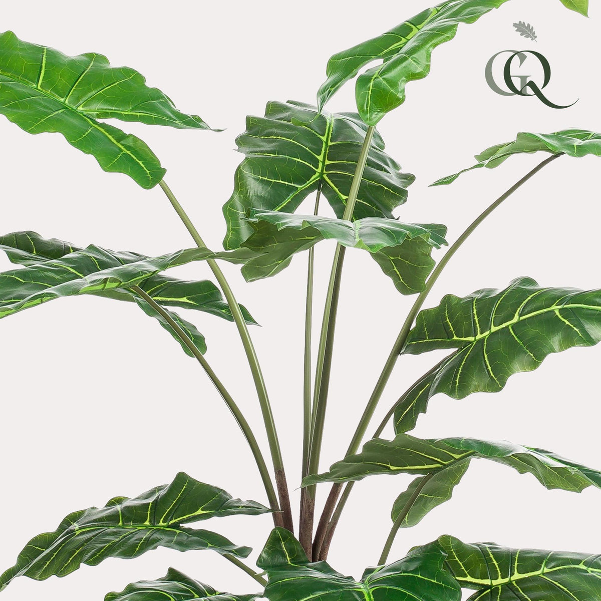 Kunstplant - Alocasia - Olifantsoor - 150 cm - Forestbloom