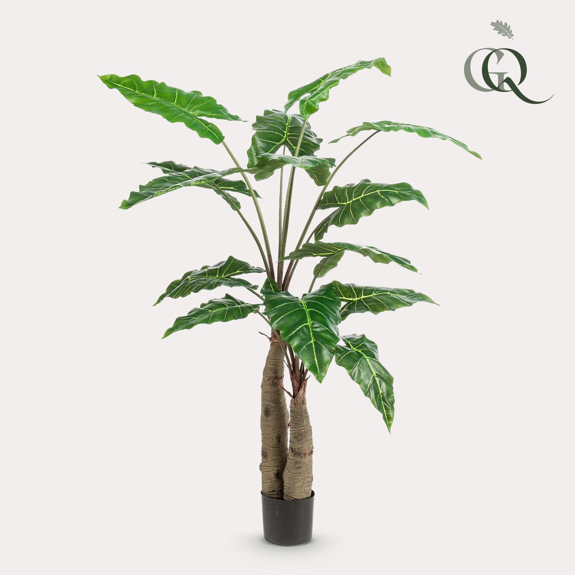 Kunstplant - Alocasia - Olifantsoor - 150 cm - Forestbloom