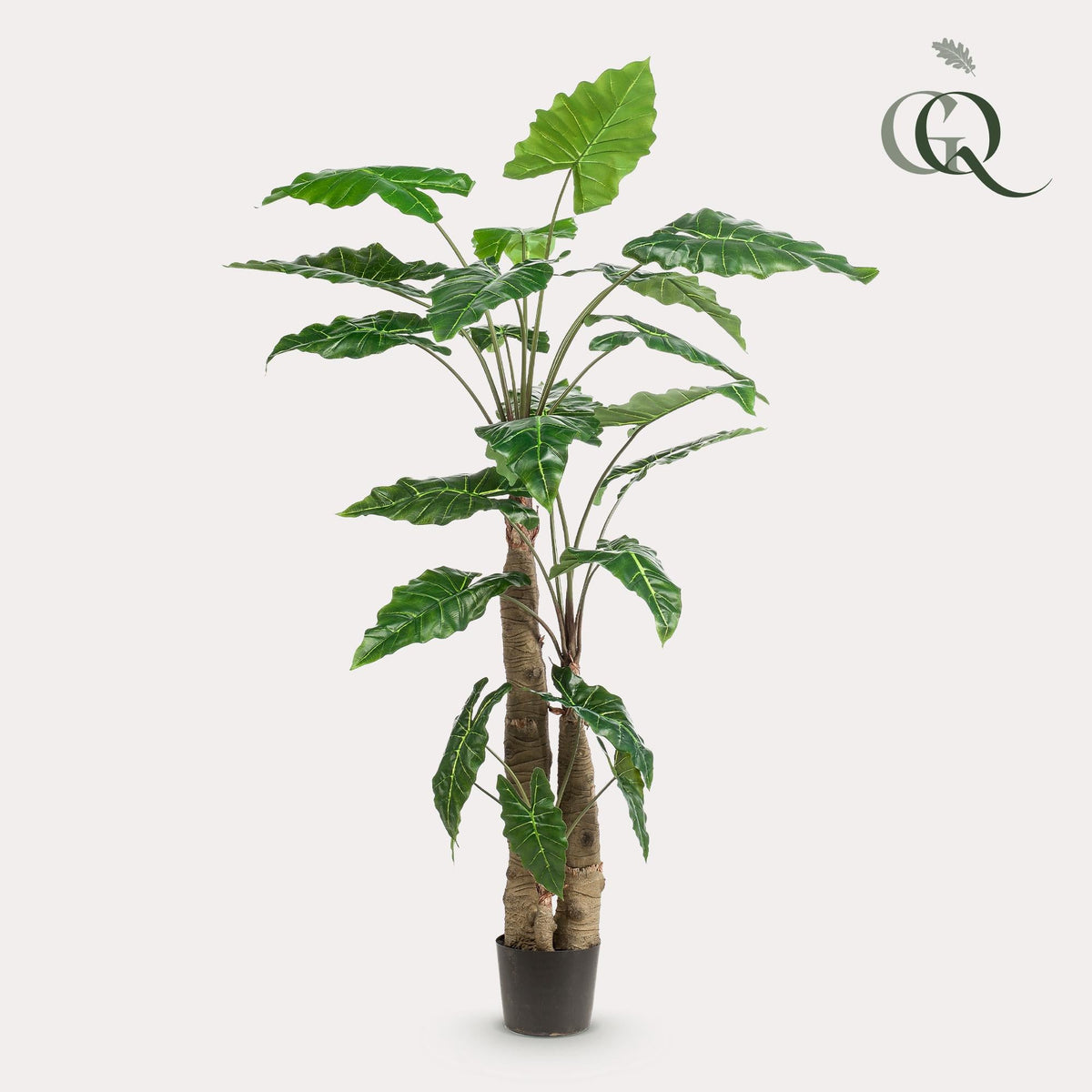 Kunstplant - Alocasia - Olifantsoor - 180 cm - Forestbloom