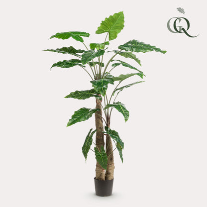 Kunstplant - Alocasia - Olifantsoor - 180 cm - Forestbloom