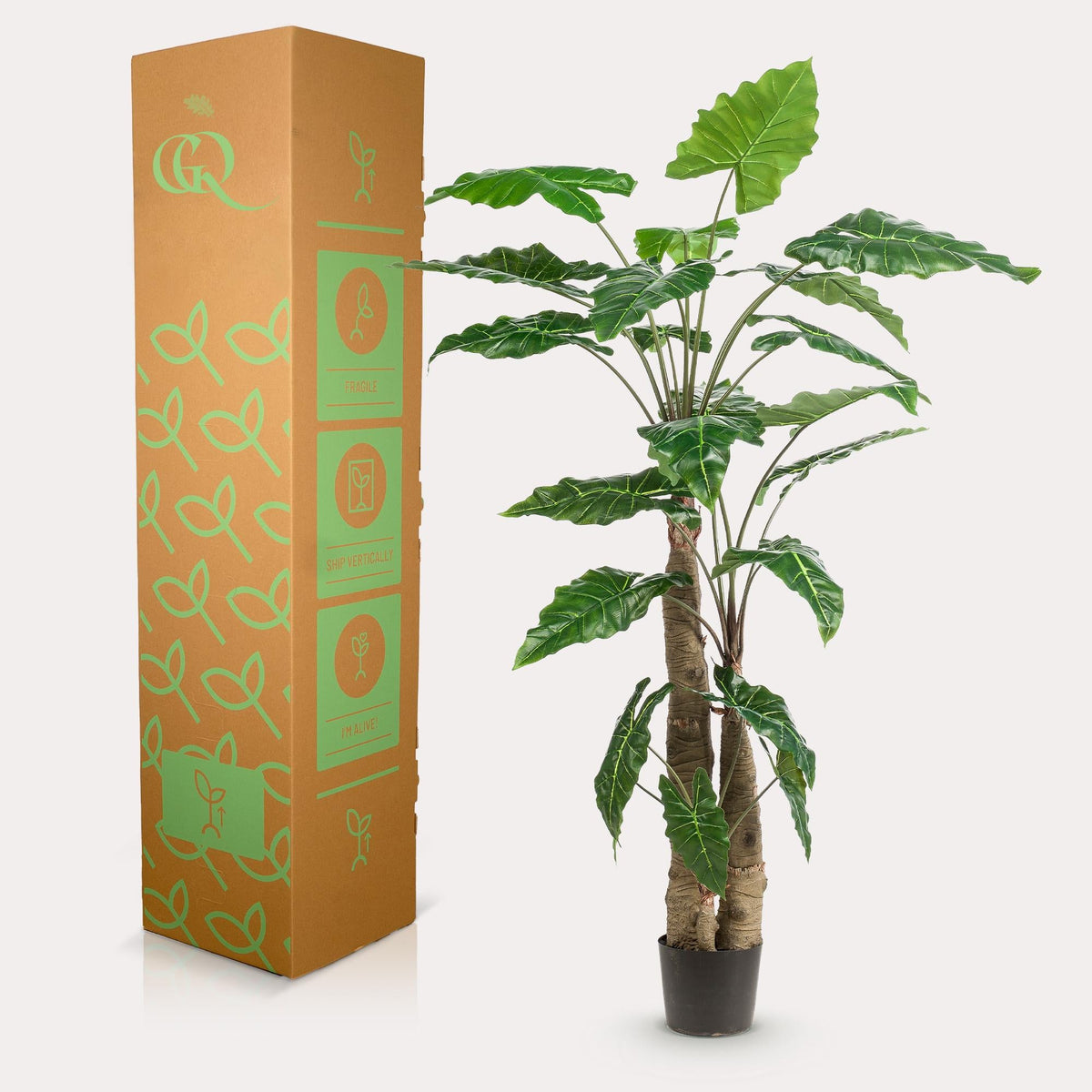 Kunstplant - Alocasia - Olifantsoor - 180 cm - Forestbloom