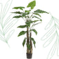 Kunstplant - Alocasia - Olifantsoor - 180 cm - Forestbloom
