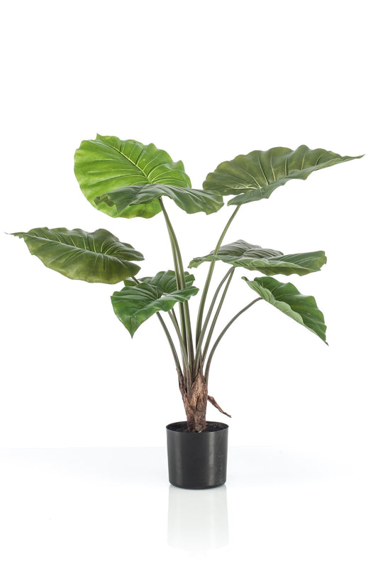 Kunstplant - Alocasia - Olifantsoor - 70 cm - Forestbloom