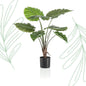 Kunstplant - Alocasia - Olifantsoor - 70 cm - Forestbloom