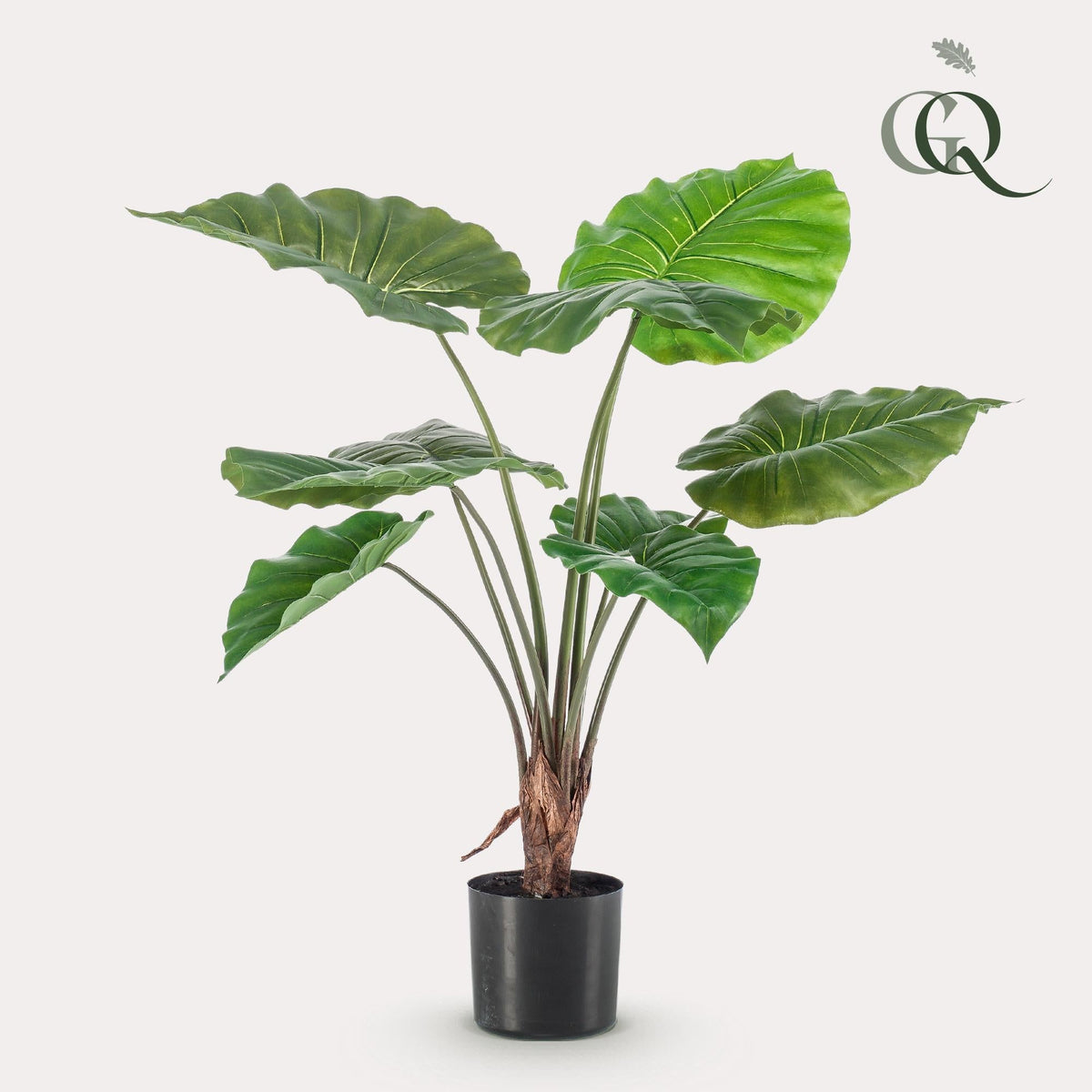 Kunstplant - Alocasia - Olifantsoor - 70 cm - Forestbloom