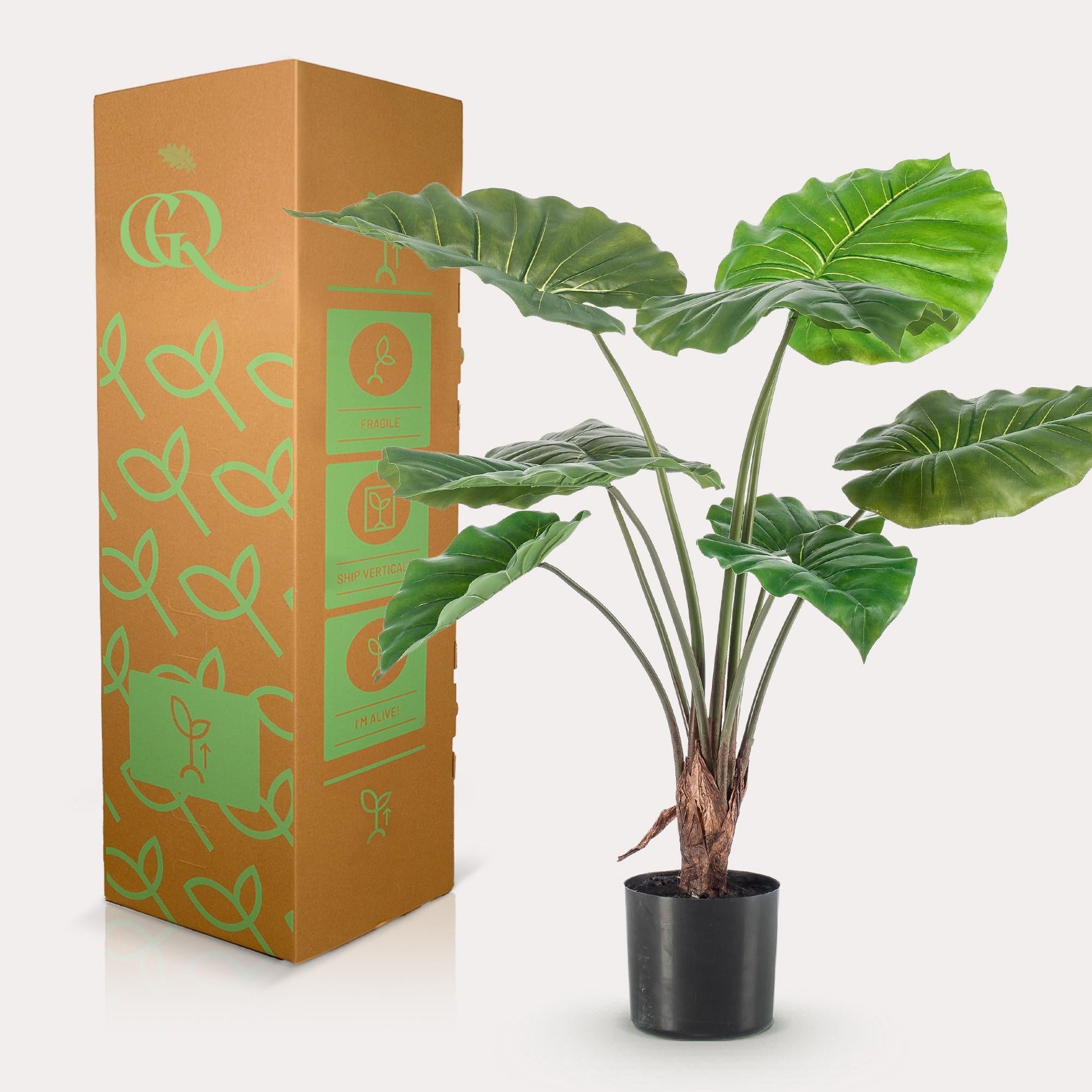 Kunstplant - Alocasia - Olifantsoor - 70 cm - Forestbloom