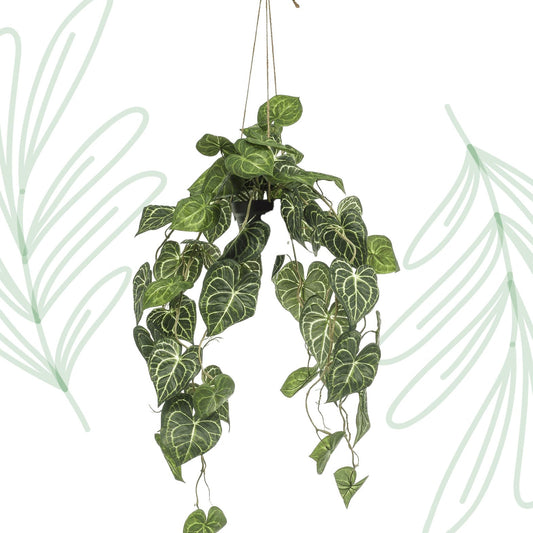 Kunstplant - Anthurium Clarinervium - Aderplant - 80 cm - Forestbloom