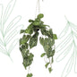 Kunstplant - Anthurium Clarinervium - Aderplant - 80 cm - Forestbloom