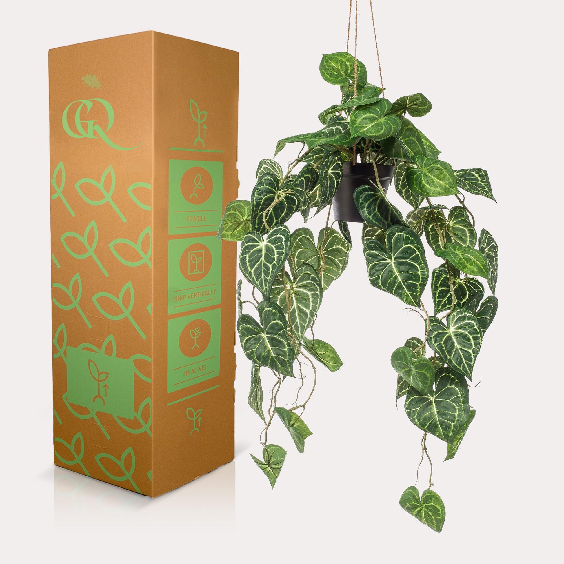 Kunstplant - Anthurium Clarinervium - Aderplant - 80 cm - Forestbloom