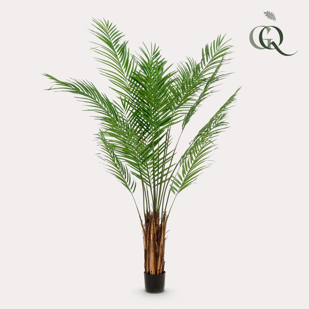 Kunstplant - Areca Lutescens - Goudpalm - 180 cm - Forestbloom