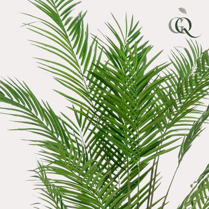 Kunstplant - Areca Lutescens - Goudpalm - 180 cm - Forestbloom