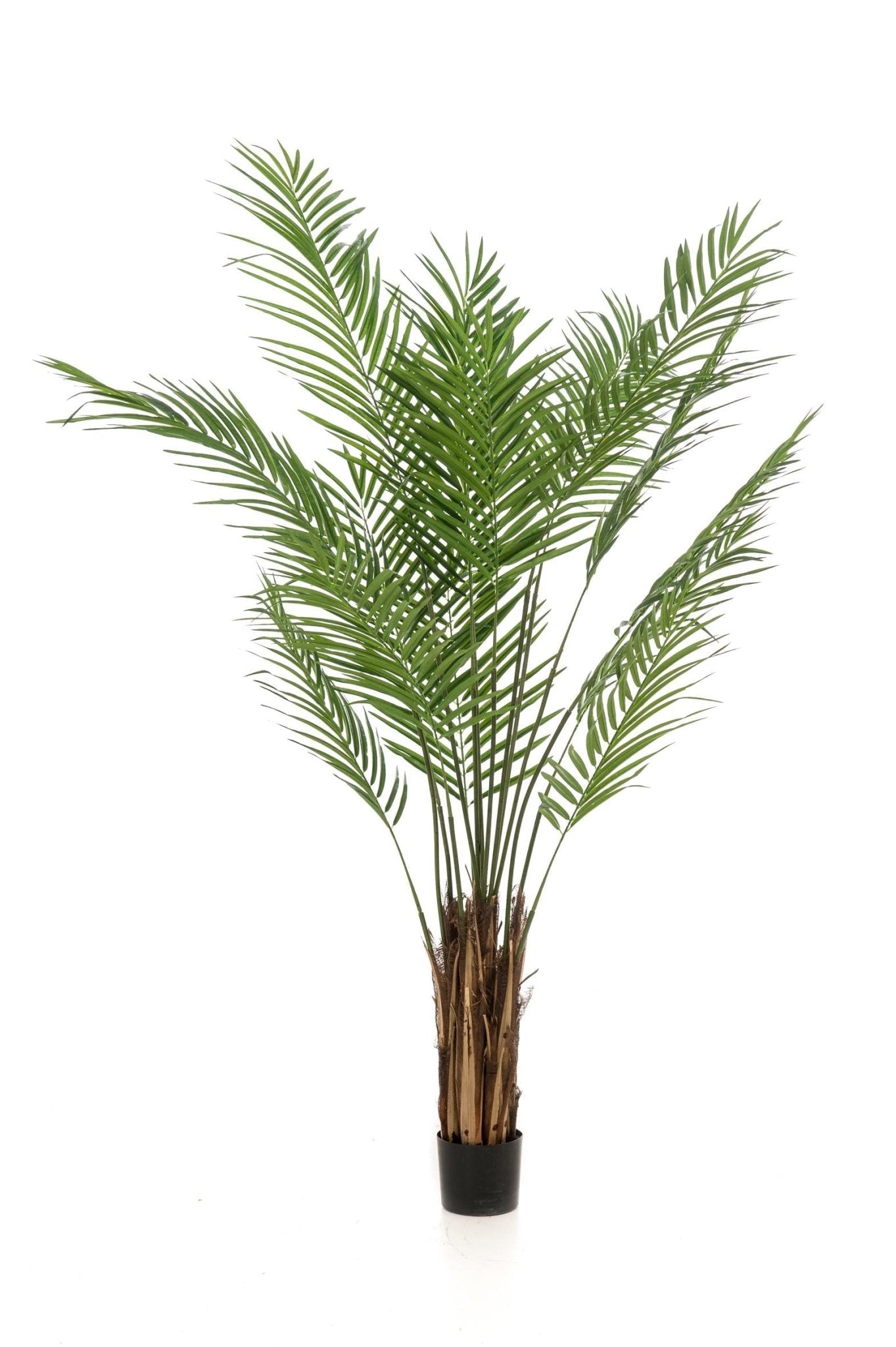 Kunstplant - Areca Lutescens - Goudpalm - 180 cm - Forestbloom