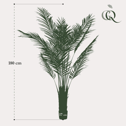 Kunstplant - Areca Lutescens - Goudpalm - 180 cm - Forestbloom