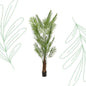 Kunstplant - Areca Lutescens - Goudpalm - 240 cm - Forestbloom