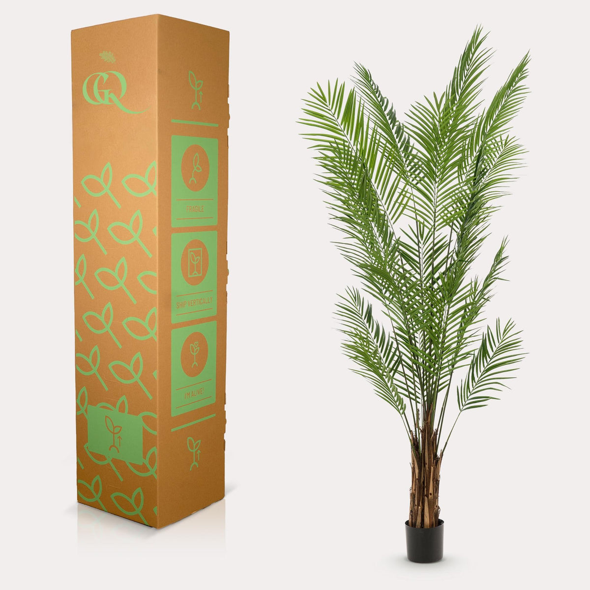 Kunstplant - Areca Lutescens - Goudpalm - 240 cm - Forestbloom