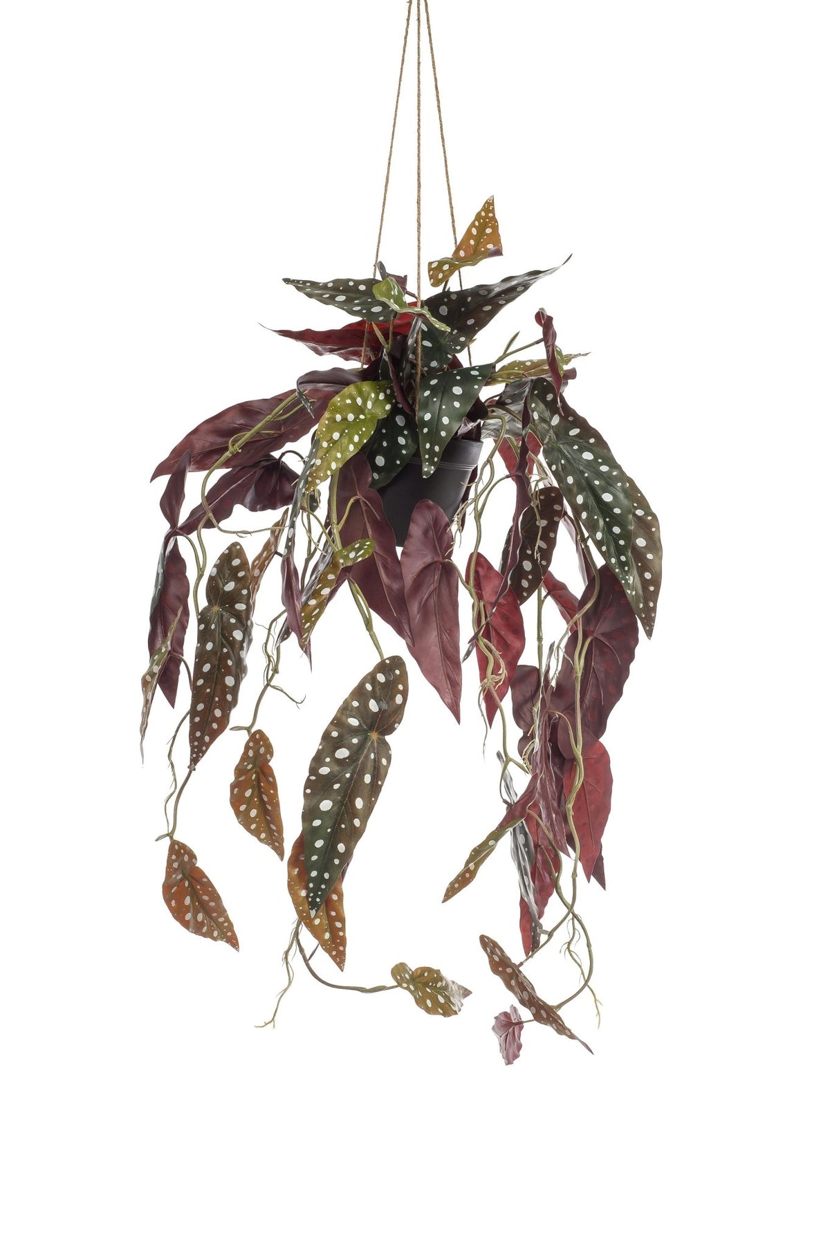Kunstplant - Begonia Maculata - Stippenbegonia - 80 cm - Forestbloom