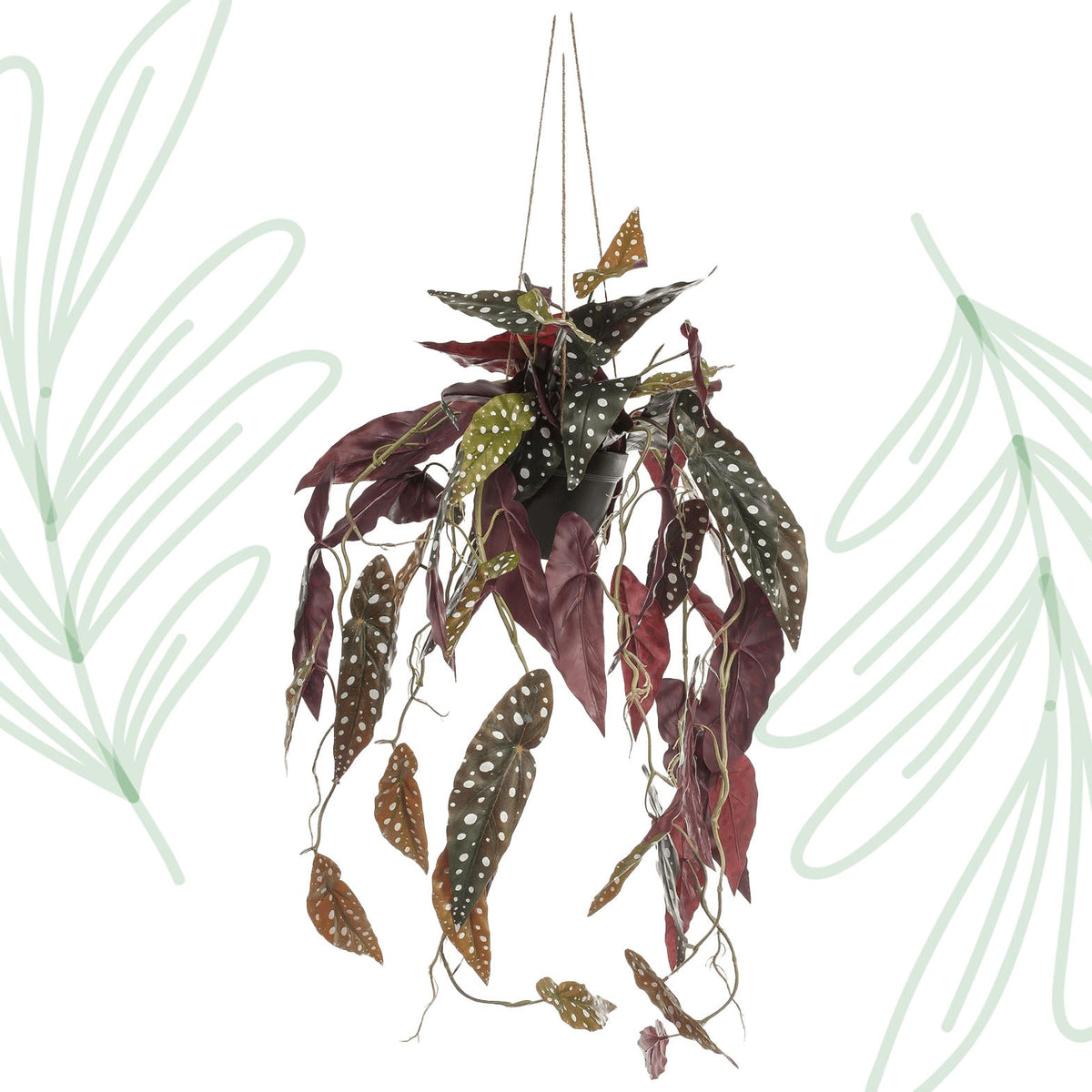 Kunstplant - Begonia Maculata - Stippenbegonia - 80 cm - Forestbloom