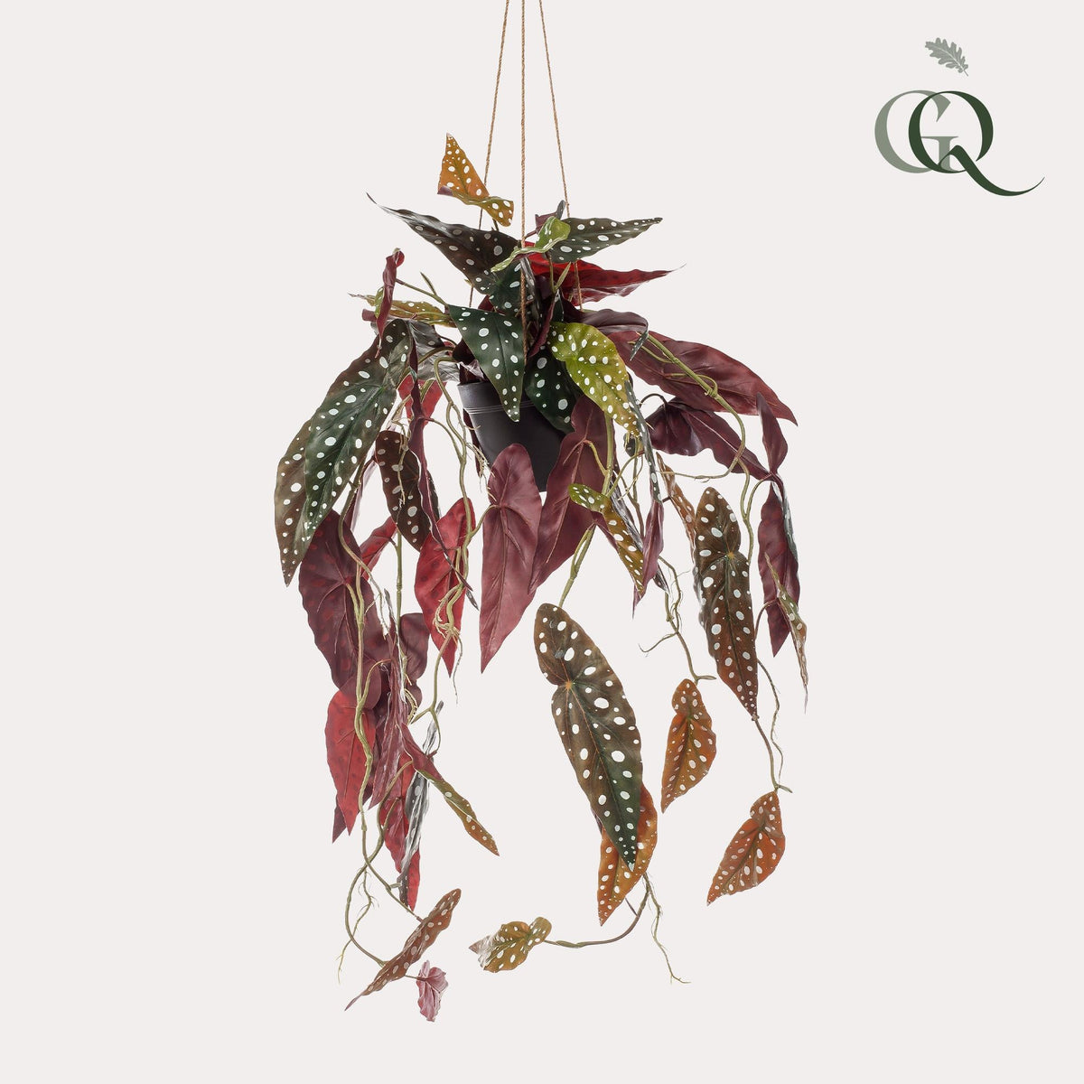Kunstplant - Begonia Maculata - Stippenbegonia - 80 cm - Forestbloom