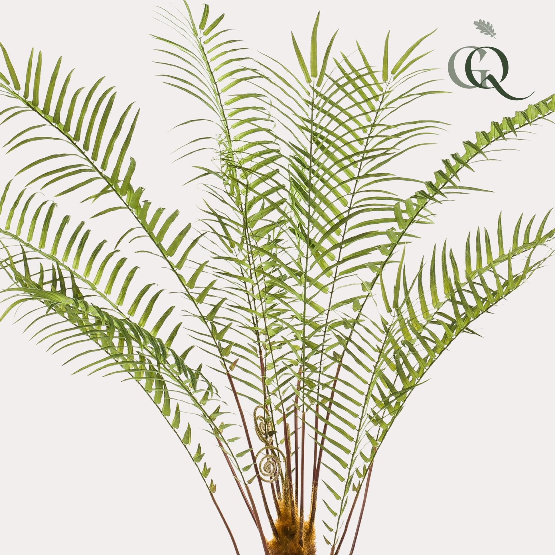 Kunstplant - Boomvaren - 125 cm - Forestbloom