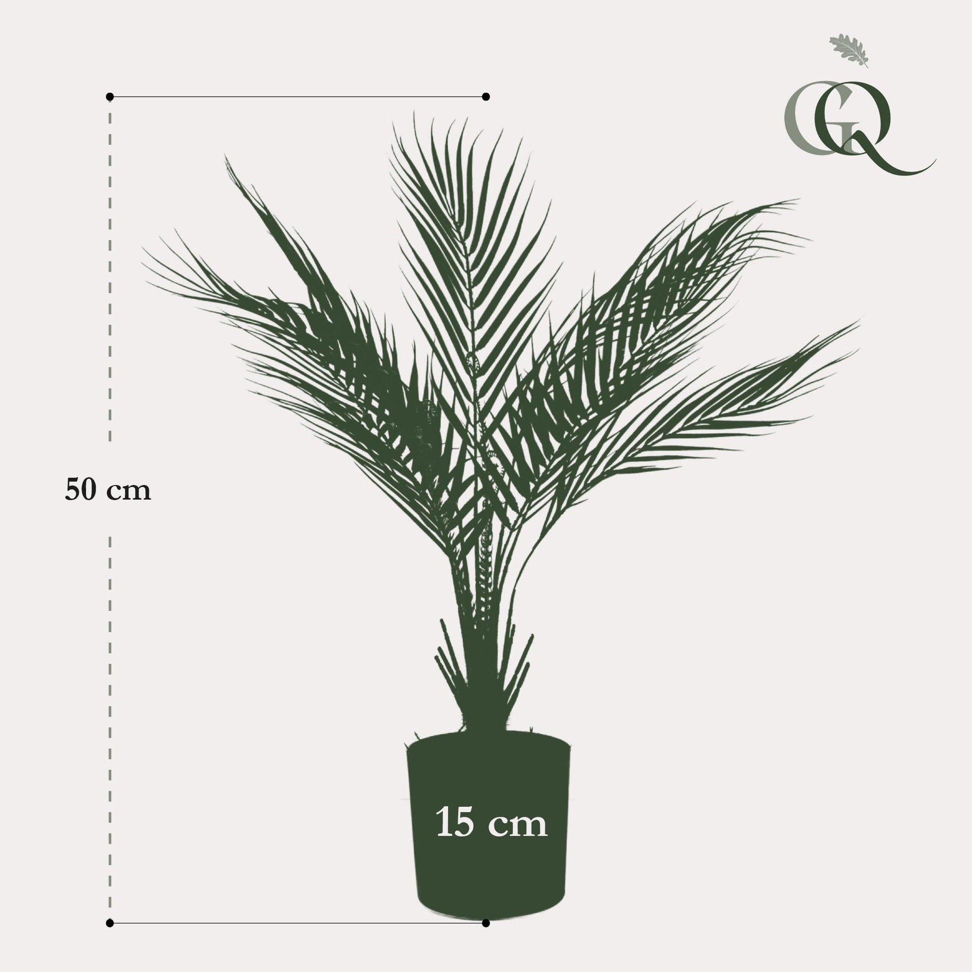 Kunstplant - Chamaedorea - Bergpalm - 50 cm - Forestbloom