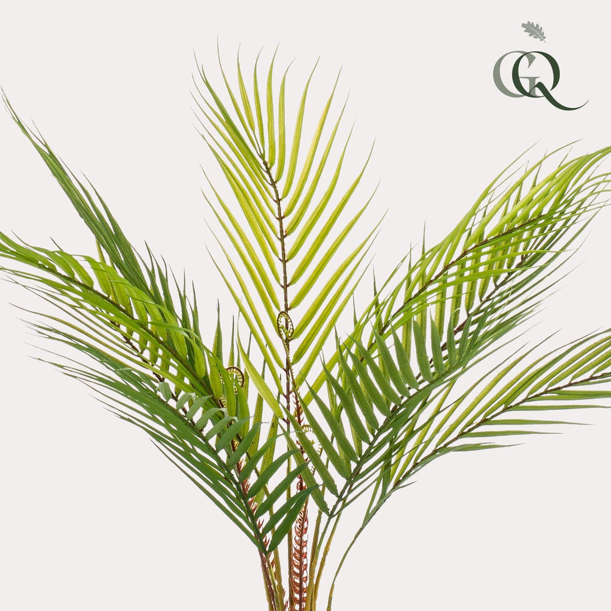 Kunstplant - Chamaedorea - Bergpalm - 50 cm - Forestbloom