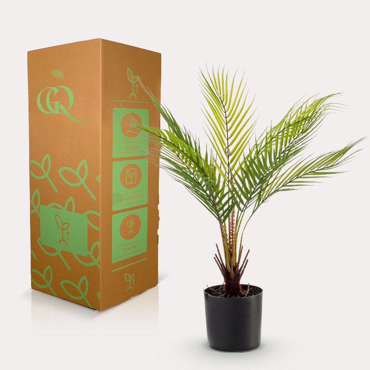 Kunstplant - Chamaedorea - Bergpalm - 50 cm - Forestbloom
