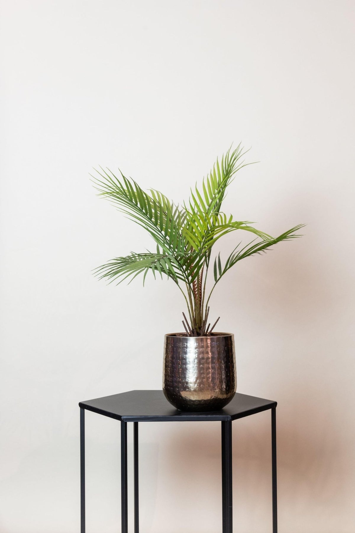 Kunstplant - Chamaedorea - Bergpalm - 50 cm - Forestbloom