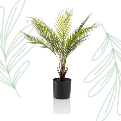 Kunstplant - Chamaedorea - Bergpalm - 50 cm - Forestbloom