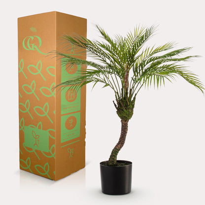 Kunstplant - Chamaedorea - Bergpalm - 85 cm - Forestbloom
