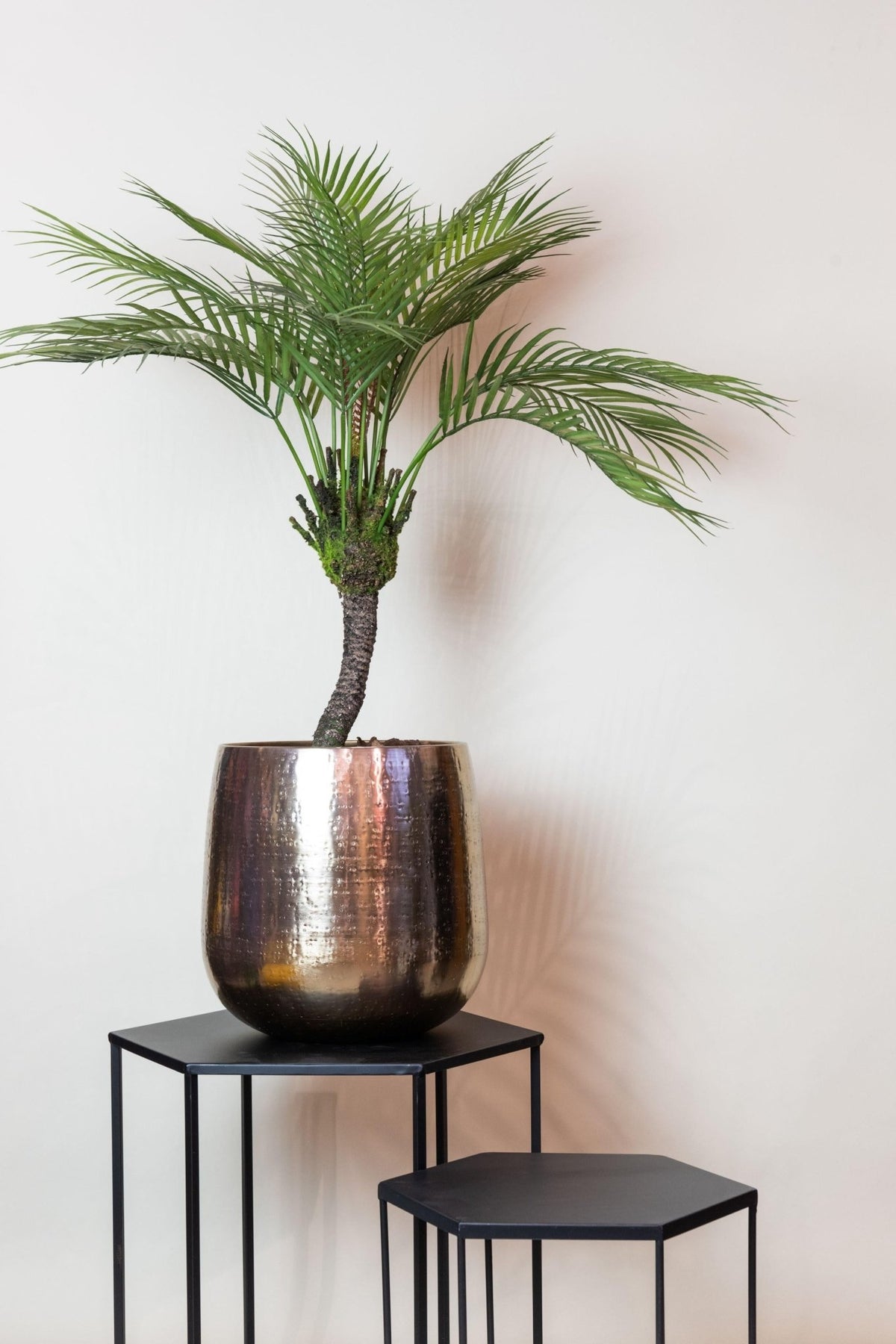 Kunstplant - Chamaedorea - Bergpalm - 85 cm - Forestbloom
