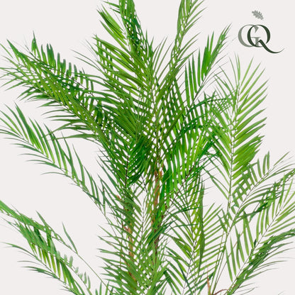 Kunstplant - Chamaedorea Elegans - Bergpalm - 120 cm - Forestbloom