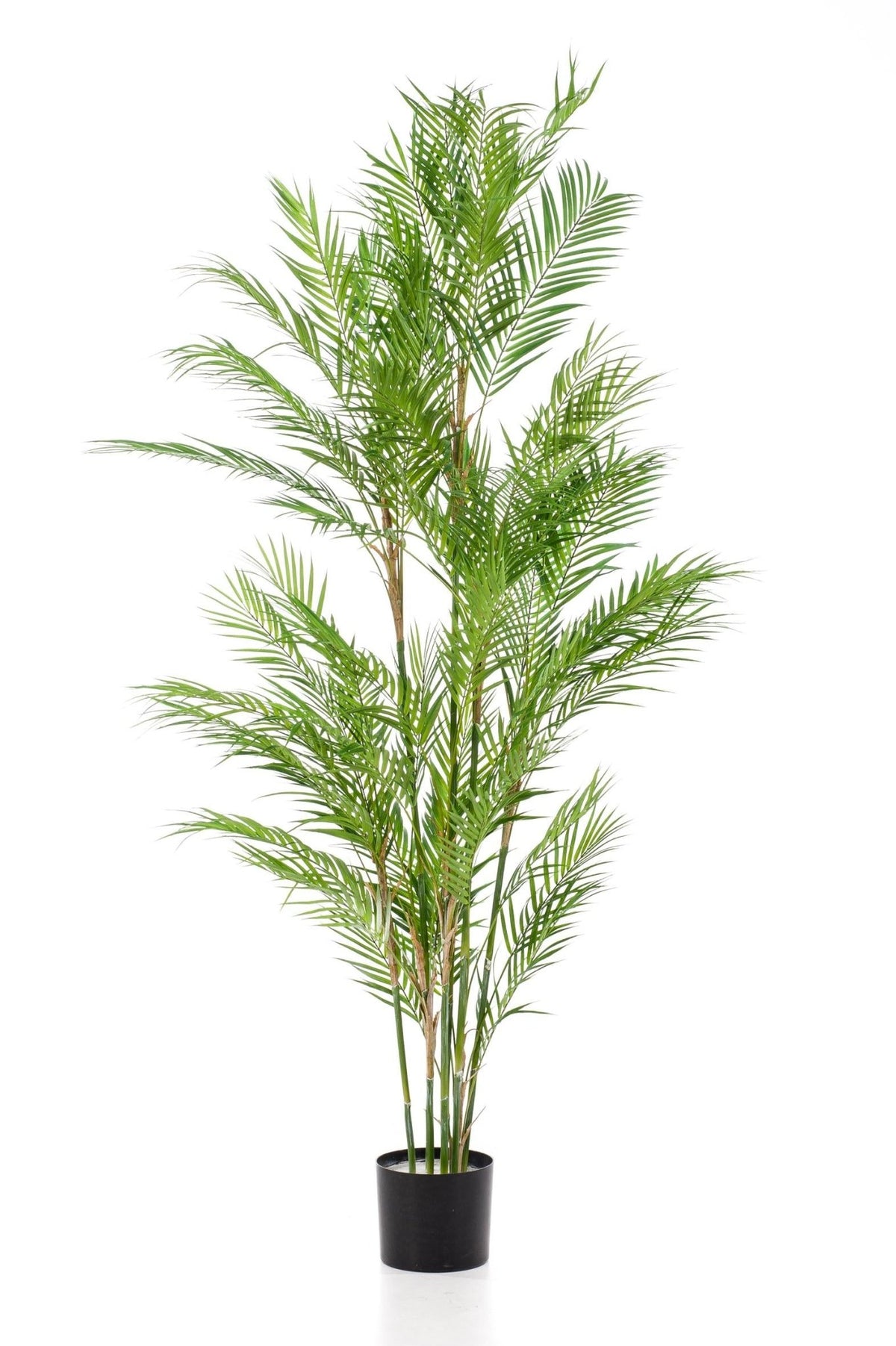 Kunstplant - Chamaedorea Elegans - Bergpalm - 180 cm - Forestbloom