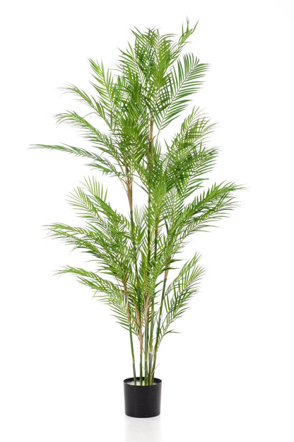 Kunstplant - Chamaedorea Elegans - Bergpalm - 180 cm - Forestbloom