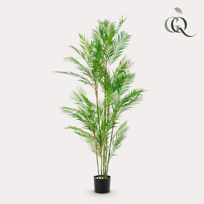 Kunstplant - Chamaedorea Elegans - Bergpalm - 180 cm - Forestbloom