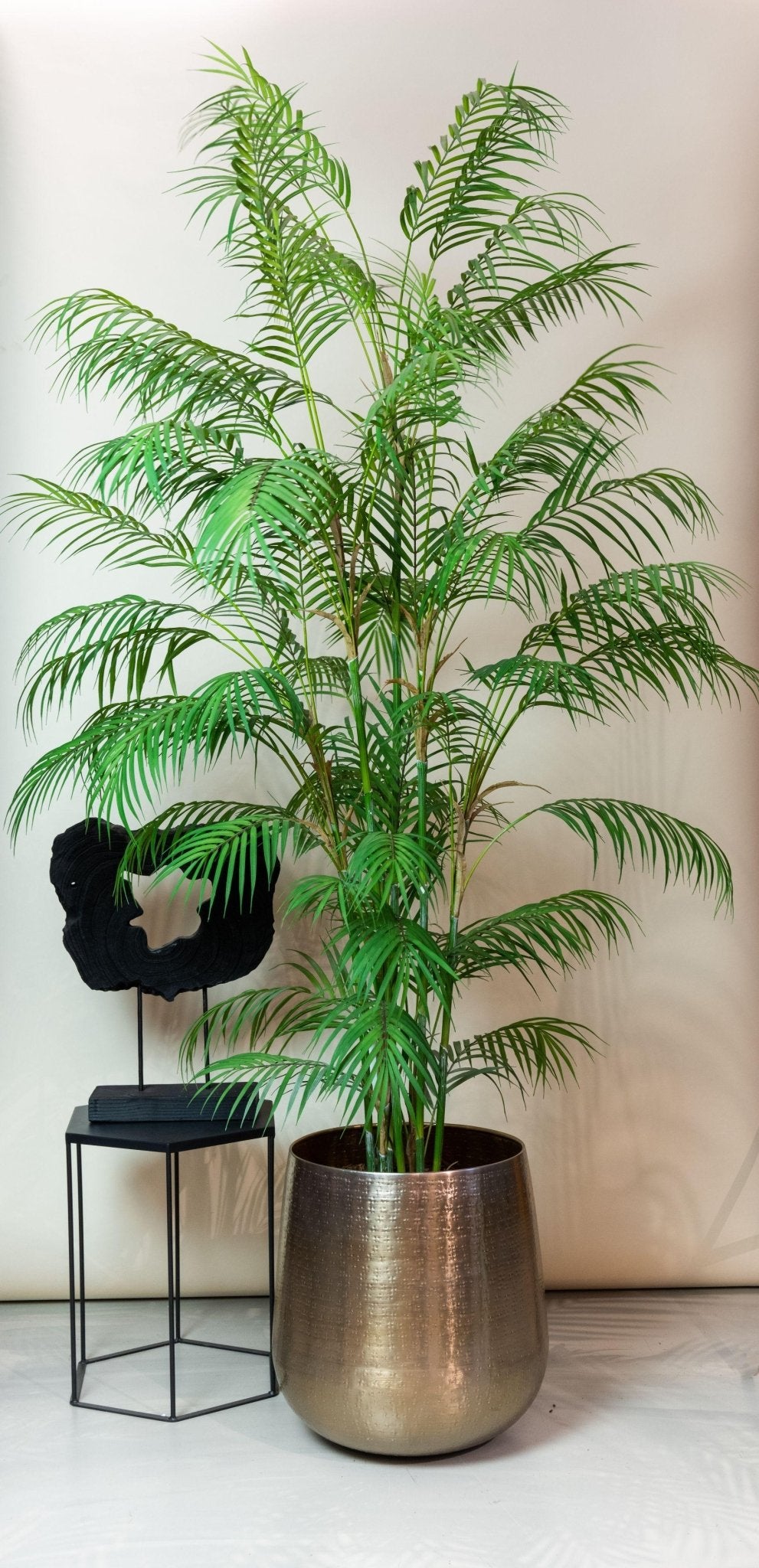Kunstplant - Chamaedorea Elegans - Bergpalm - 180 cm - Forestbloom
