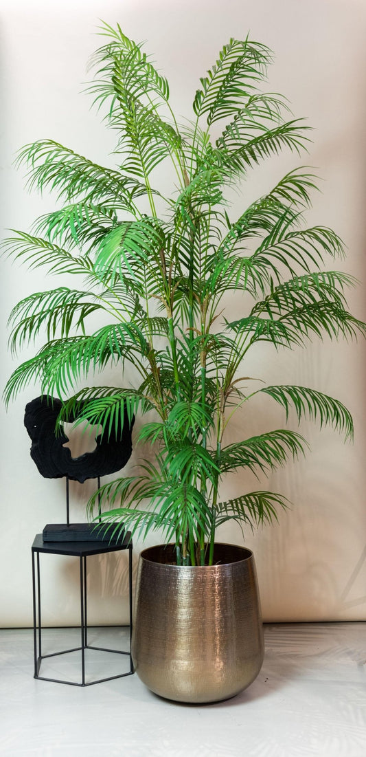 Kunstplant - Chamaedorea Elegans - Bergpalm - 180 cm - Forestbloom
