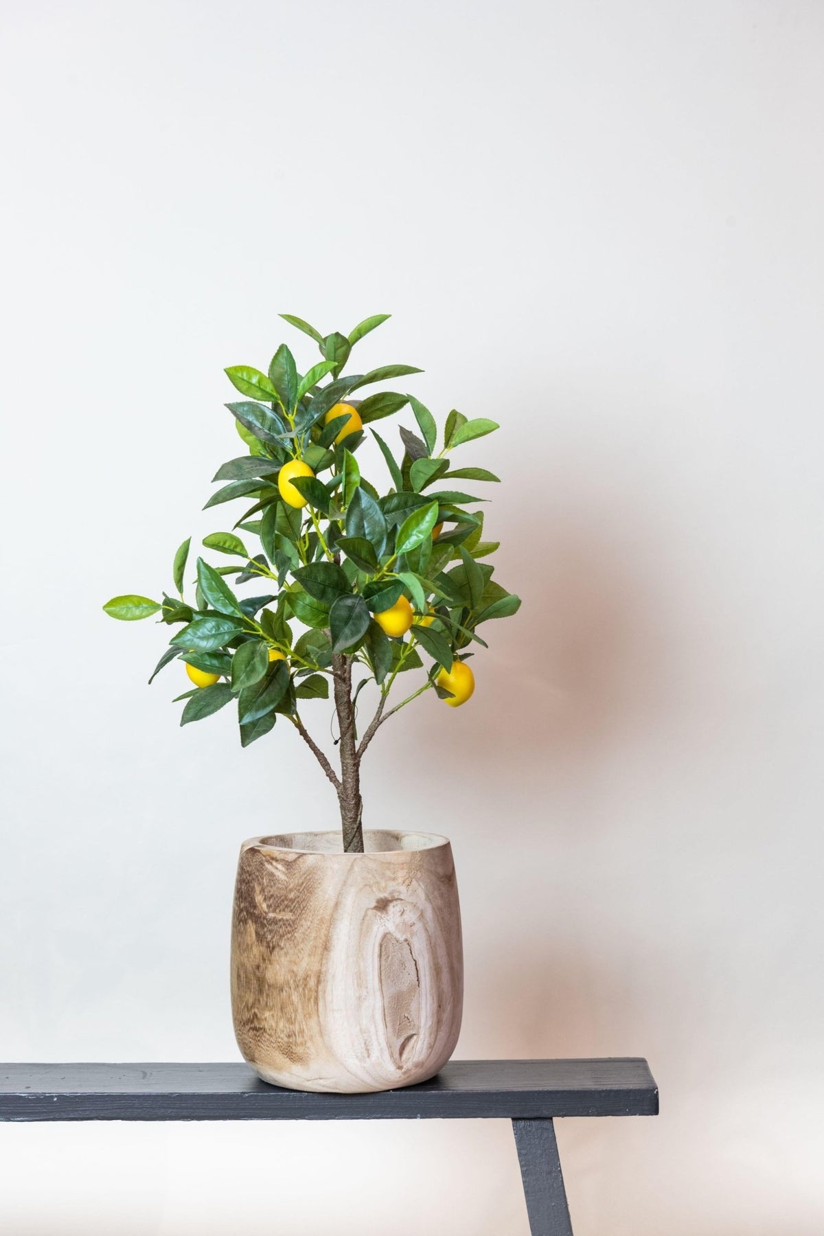 Kunstplant - Citrus Limonia - Citroenboom - 75 cm - Forestbloom