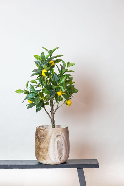 Kunstplant - Citrus Limonia - Citroenboom - 75 cm - Forestbloom