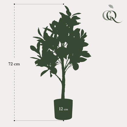 Kunstplant - Citrus Limonia - Citroenboom - 75 cm - Forestbloom