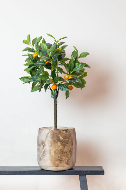 Kunstplant - Citrus Sinensis - Sinaasappelboom - 75 cm - Forestbloom