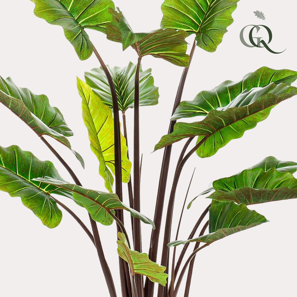Kunstplant - Colocasia Pink China - Olifantsoor - 130 cm - Forestbloom