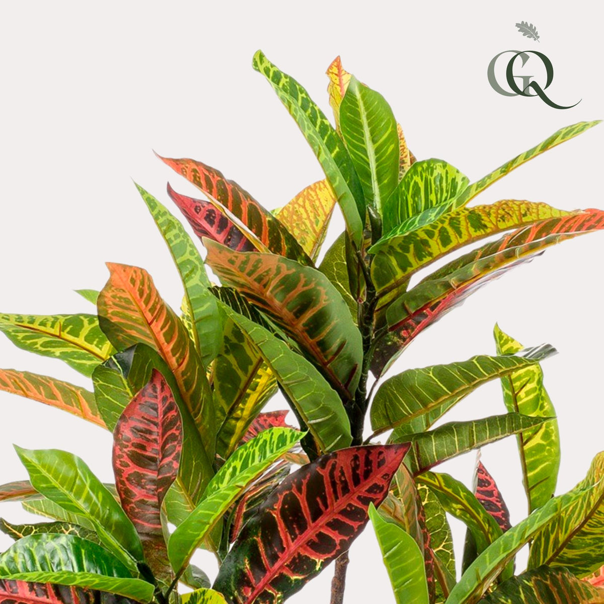 Kunstplant - Croton Codiaeum - Wonderstruik - 95 cm - Forestbloom
