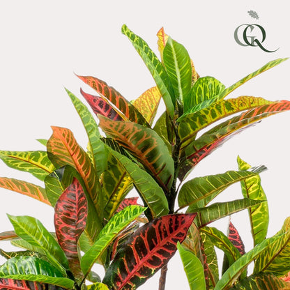 Kunstplant - Croton Codiaeum - Wonderstruik - 95 cm - Forestbloom