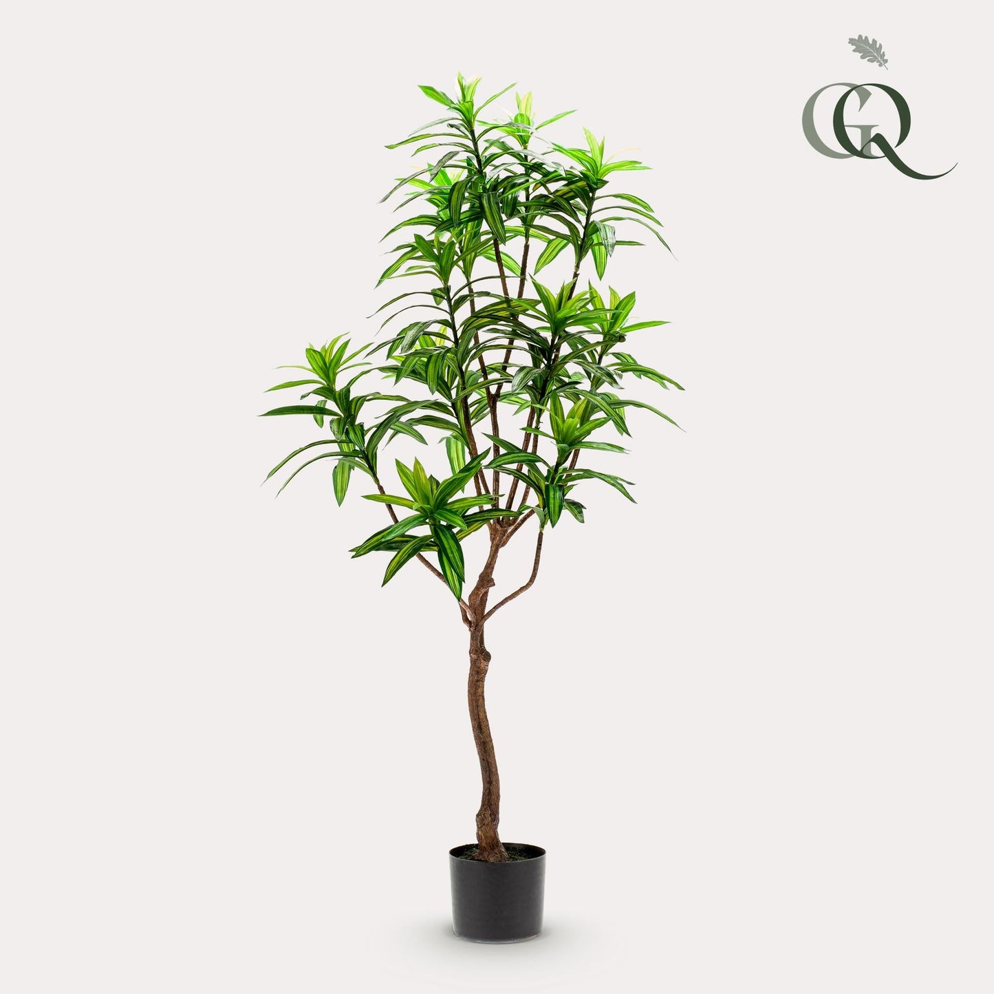 Kunstplant - Dracaena - Drakenboom - 130 cm - Forestbloom