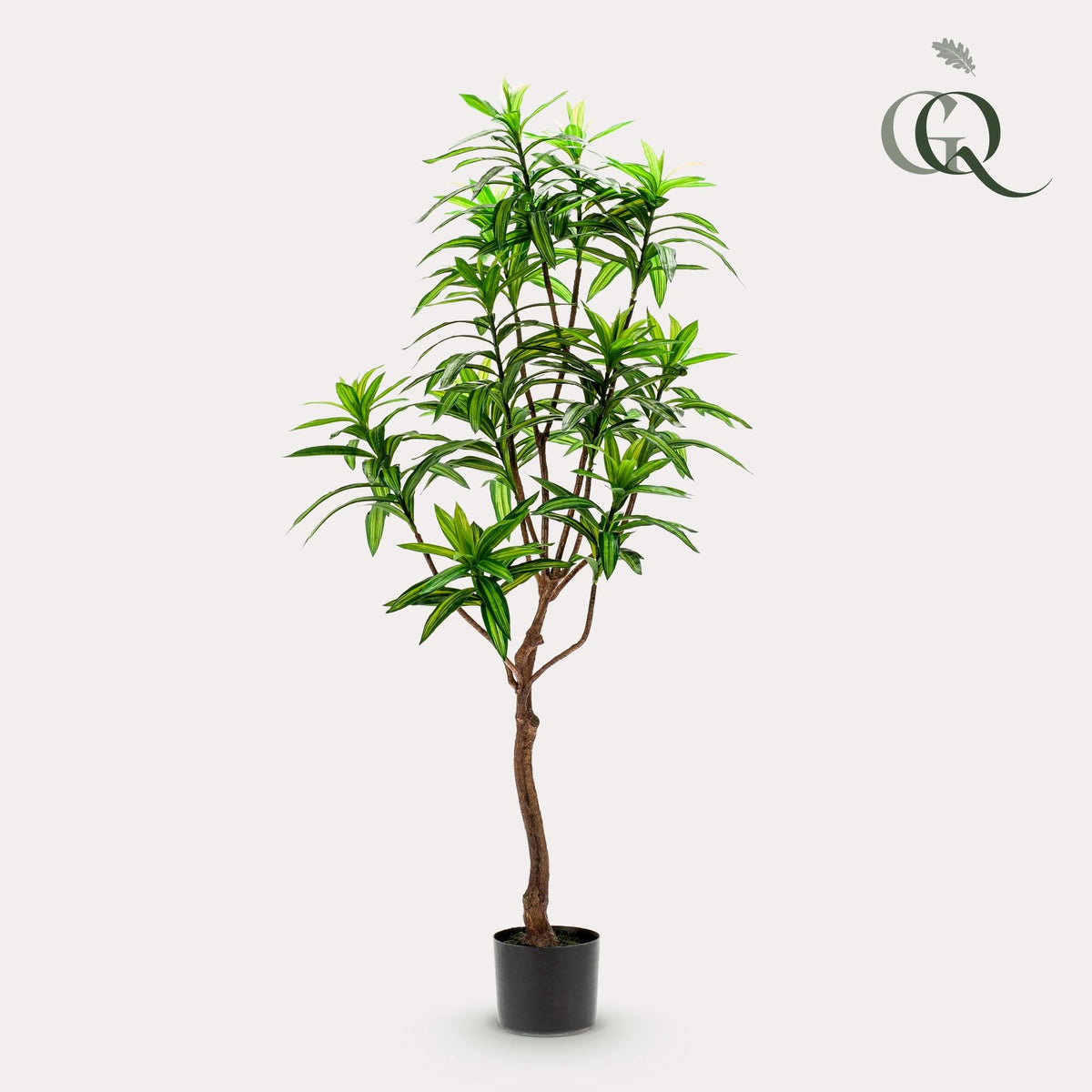 Kunstplant - Dracaena - Drakenboom - 130 cm - Forestbloom
