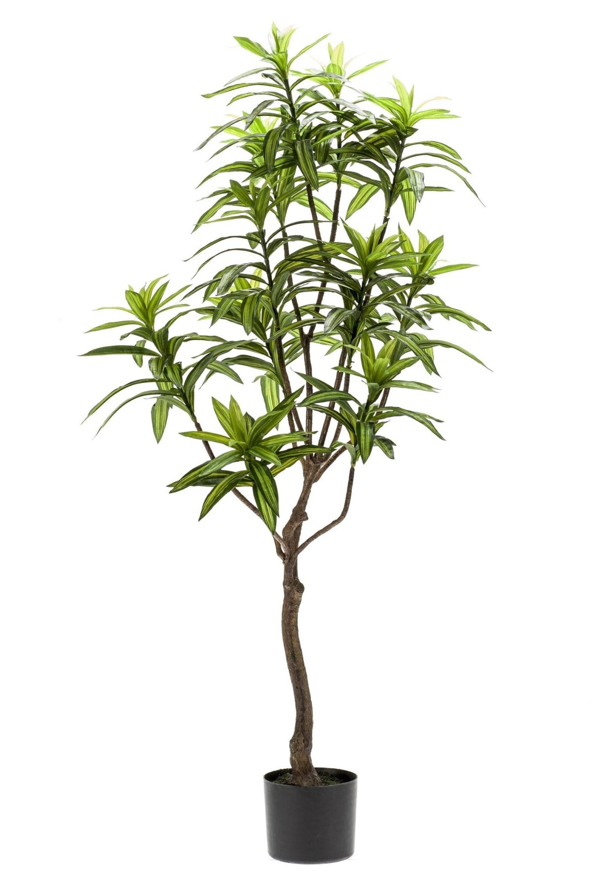 Kunstplant - Dracaena - Drakenboom - 130 cm - Forestbloom