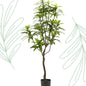 Kunstplant - Dracaena - Drakenboom - 130 cm - Forestbloom