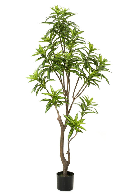 Kunstplant - Dracaena - Drakenboom - 155 cm - Forestbloom